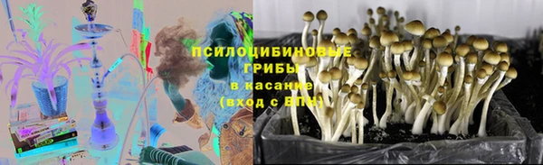 бошки Алзамай