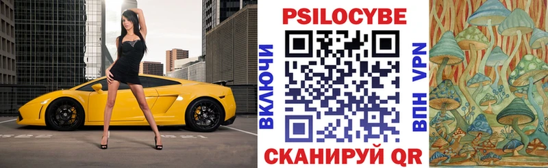 Галлюциногенные грибы мухоморы  сколько стоит  Злынка 